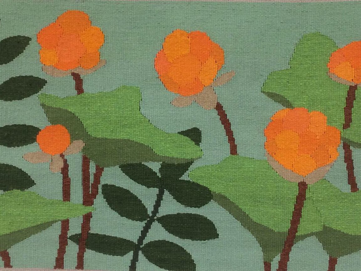 Anna Olsson v&auml;v hjortron